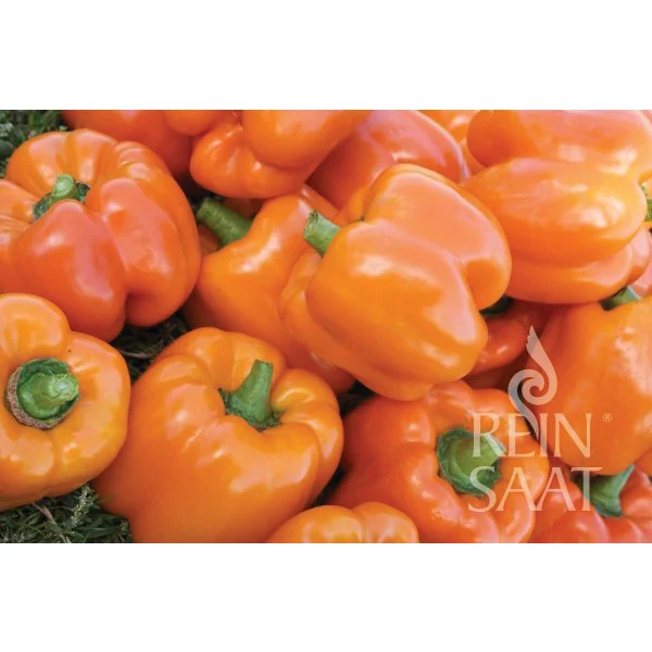 Cubo orange