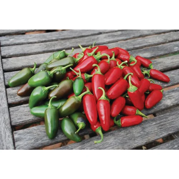 Jalapeno