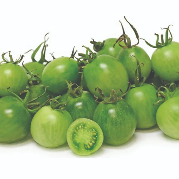 Sungreen garden